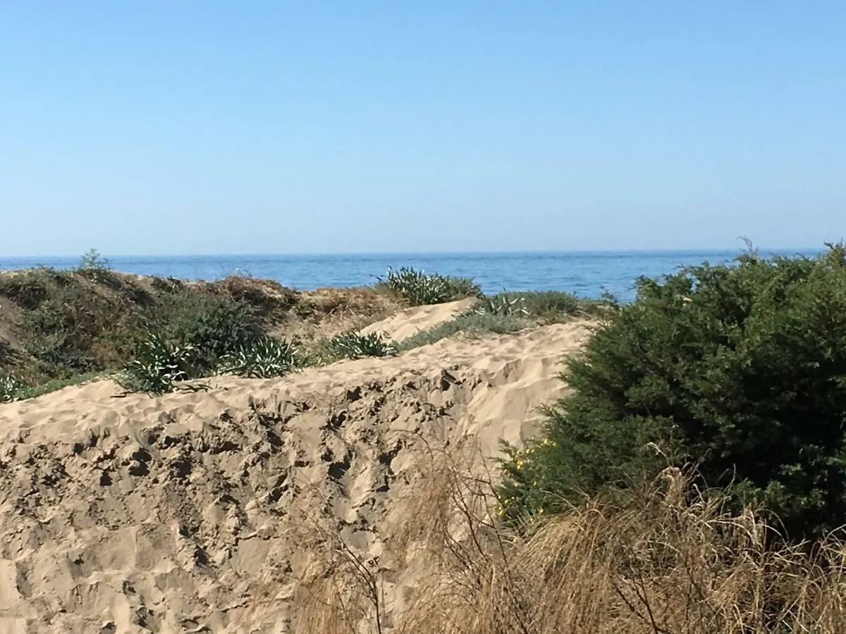 Apartmán Estudio Primera Linea 50 Mtrs Playa. Fibra 600Mb Marbella Španělsko